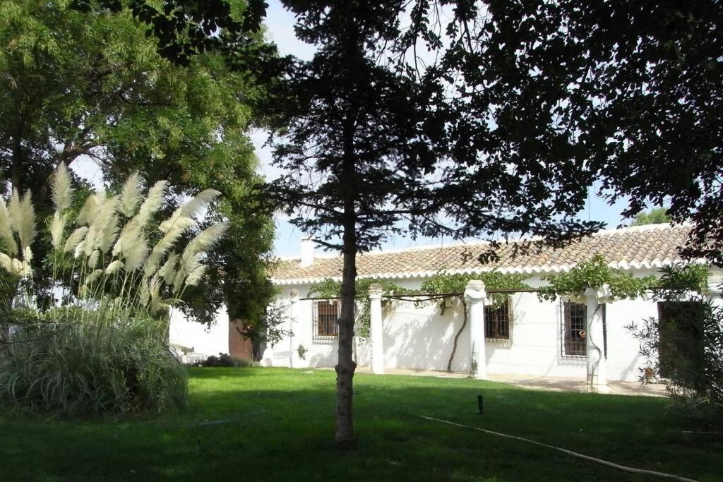 Villa Casa El Carmen Ciudad Real Exterior foto