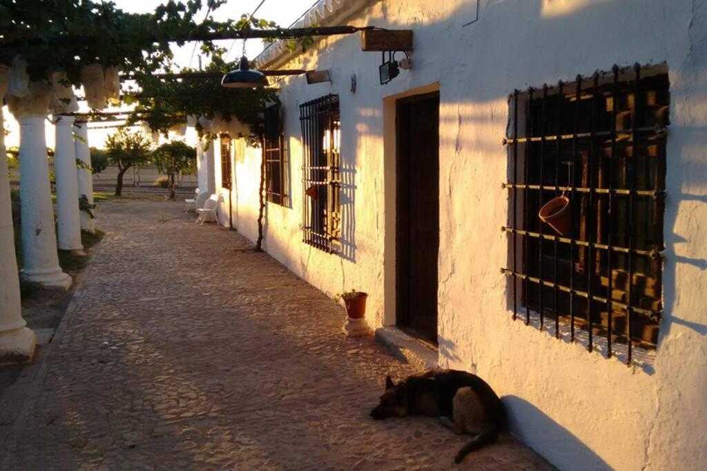 Villa Casa El Carmen Ciudad Real Exterior foto