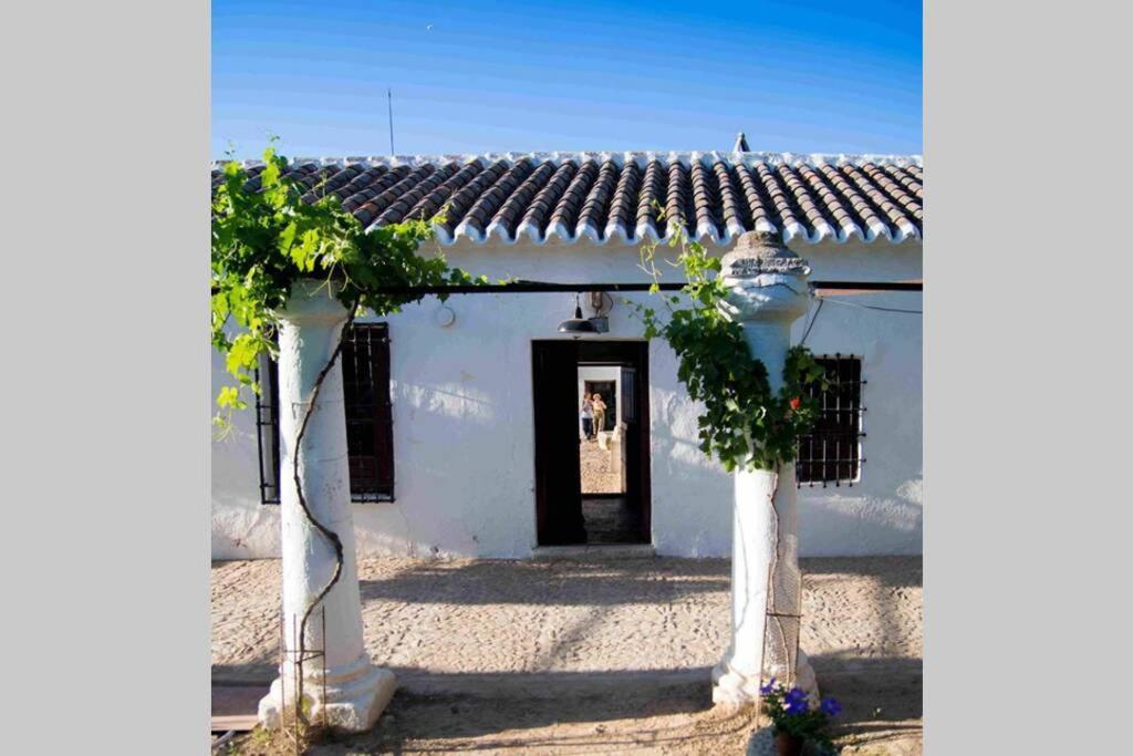 Villa Casa El Carmen Ciudad Real Exterior foto