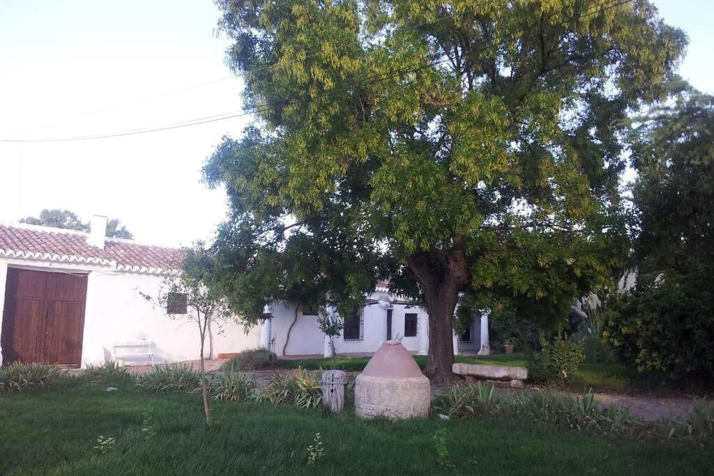 Villa Casa El Carmen Ciudad Real Exterior foto